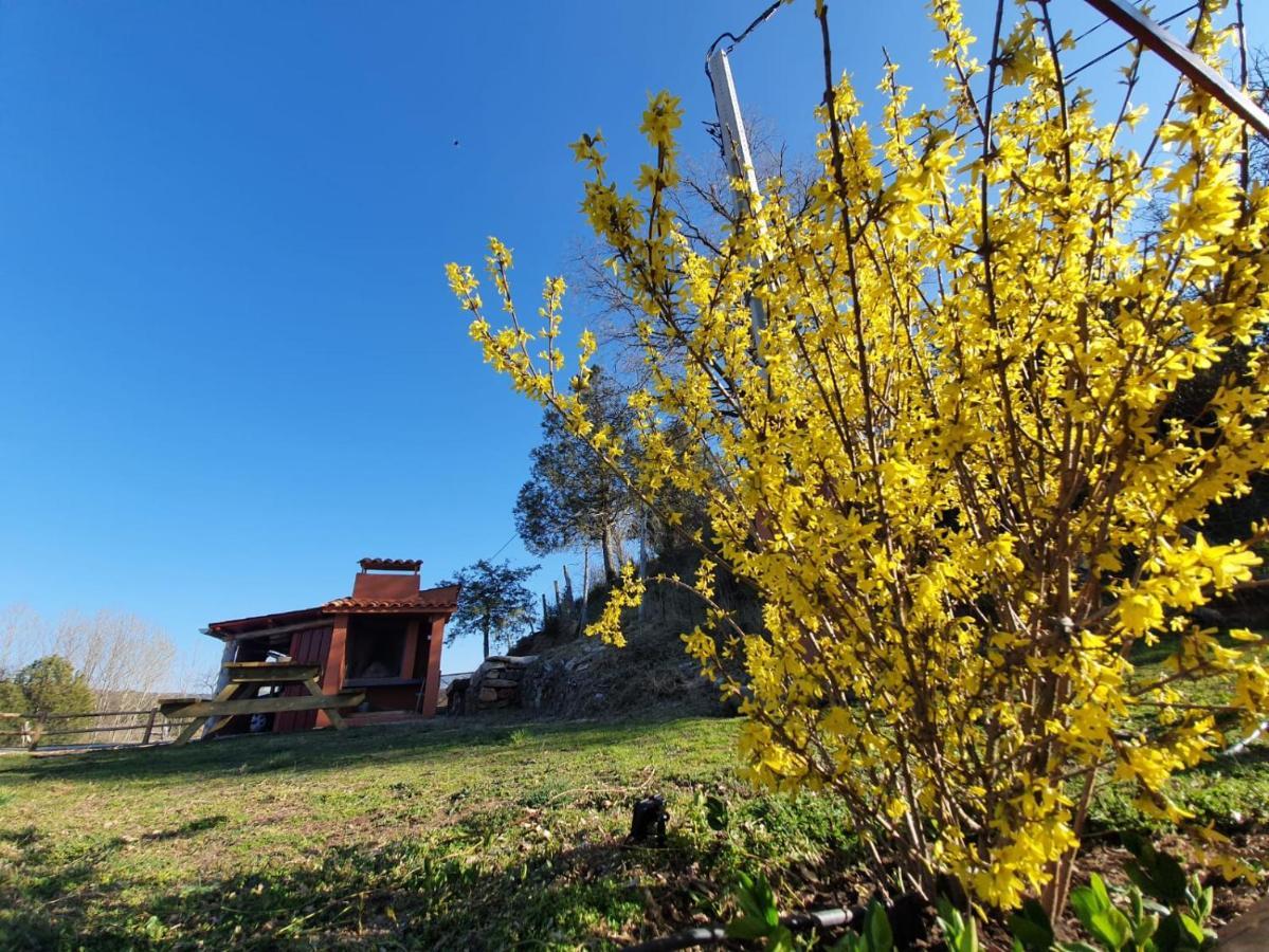 Casa Rural Manitoba Luxe Buenache de la Sierra Екстериор снимка